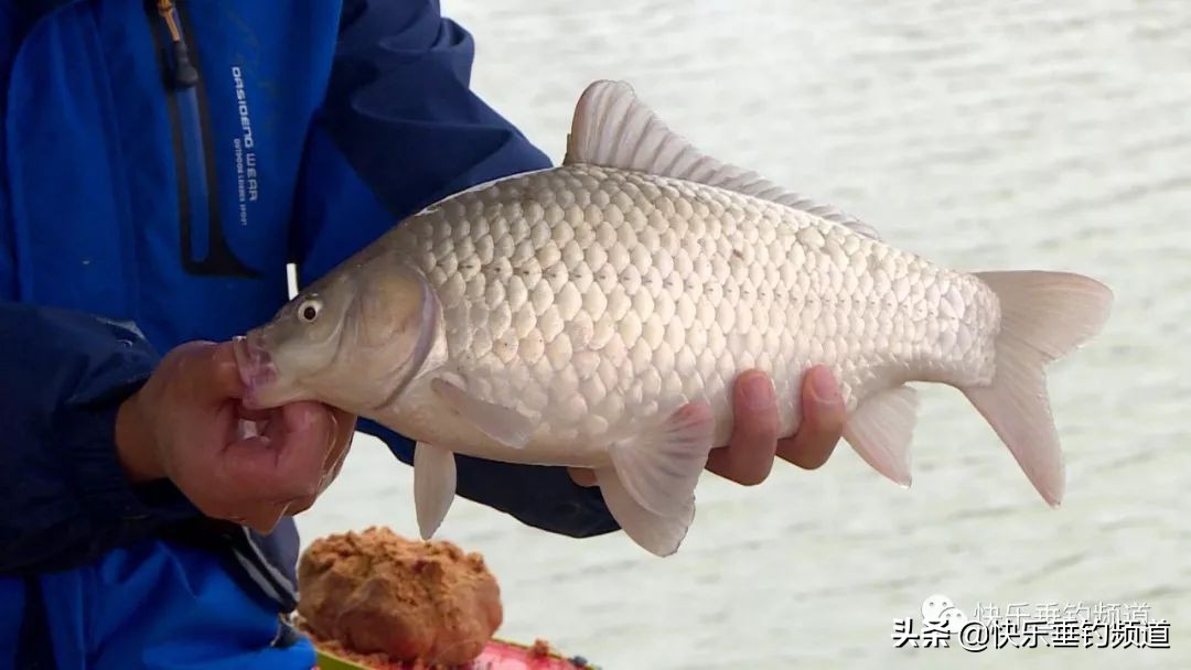 春季野钓钓鱼选择什么位置最好,春季野钓河流怎么选钓位