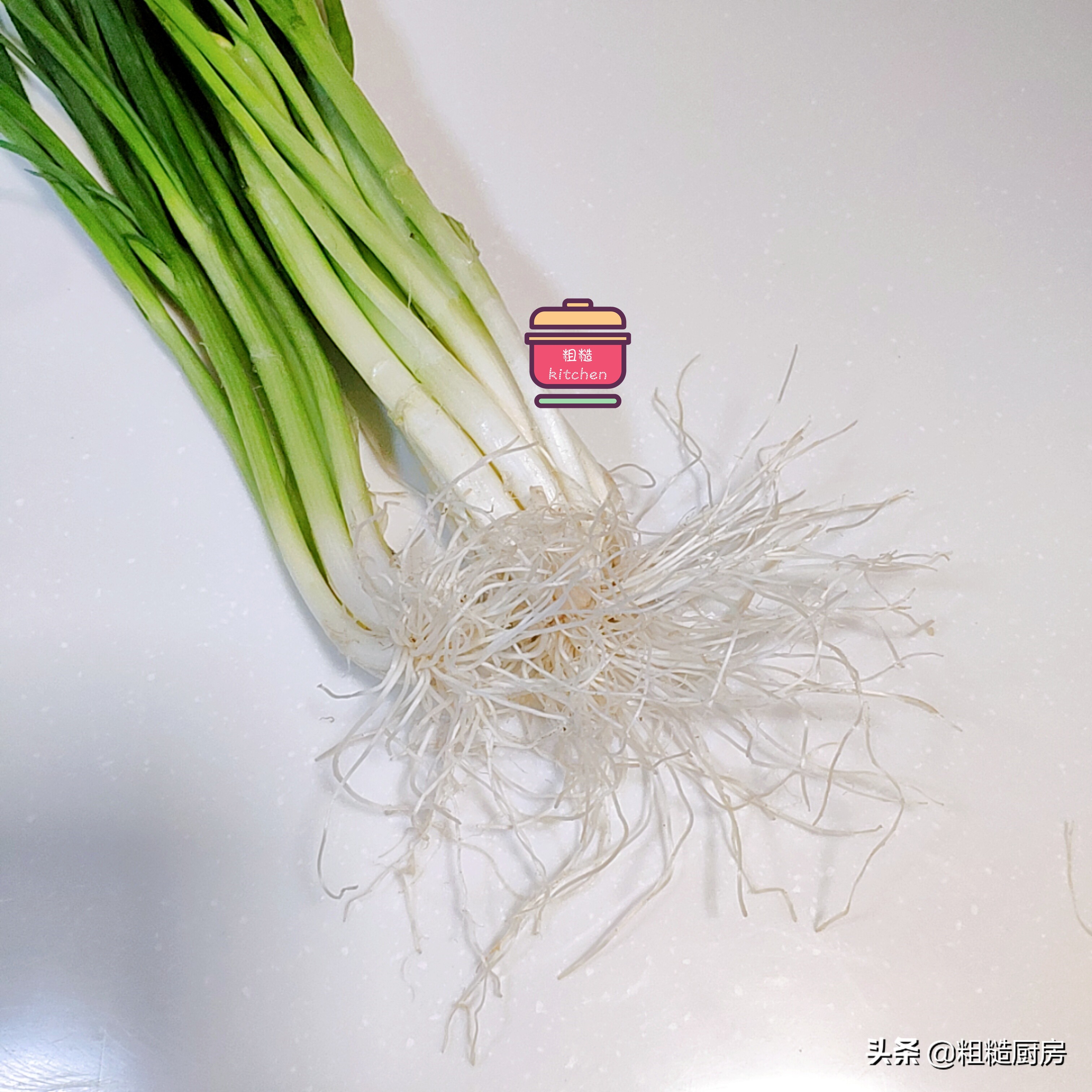 家里怎么一年四季种植小葱,一年四季在家都能吃上小葱自己种