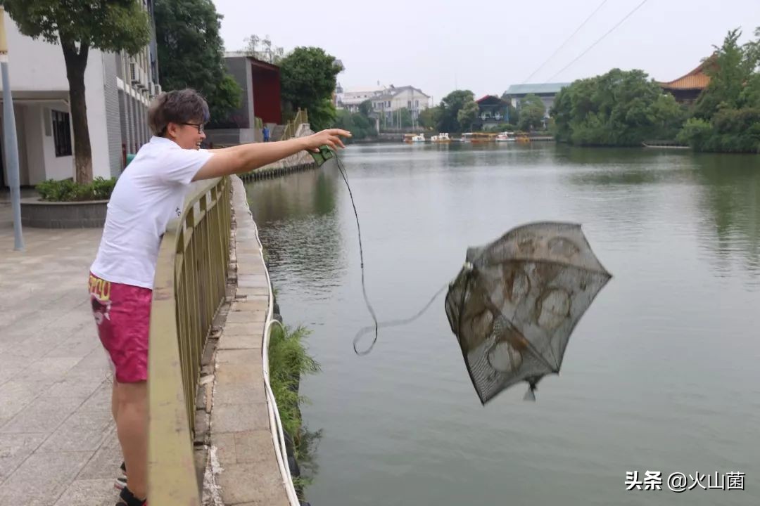 逃离高温“熔炉”，南方的夏天就该玩雪