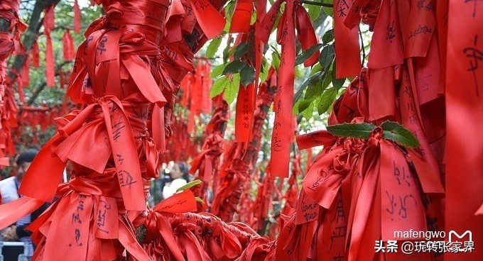 张家界天门山旅行路线攻略三日游,十一到张家界天门山旅游攻略图文
