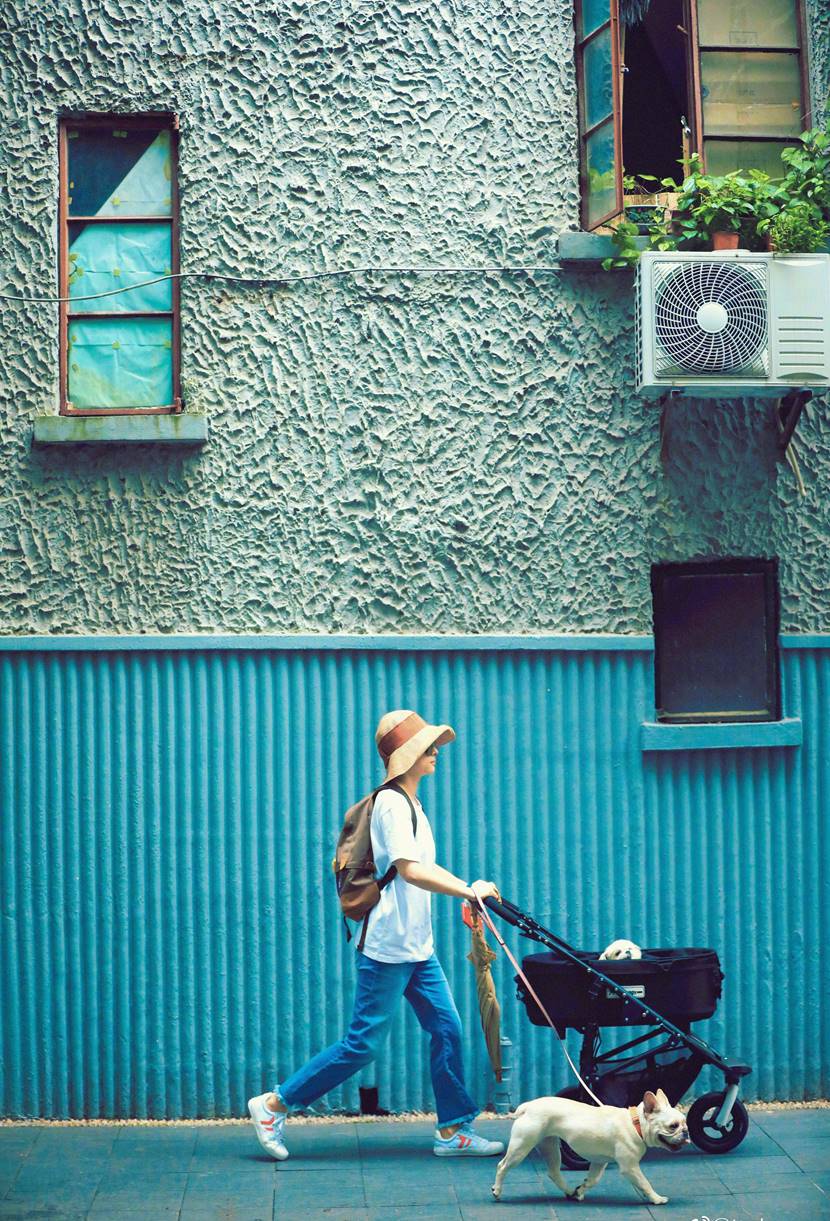 孙俪终于蓄起了长发,孙俪穿碎花裙视频