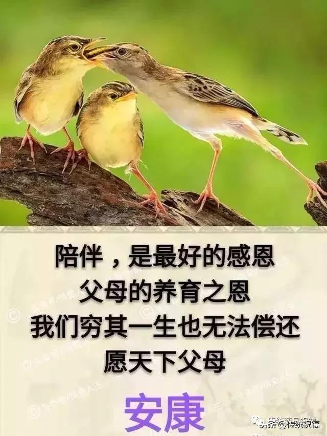 我的家庭相册怎么弄,我的家庭相册全集