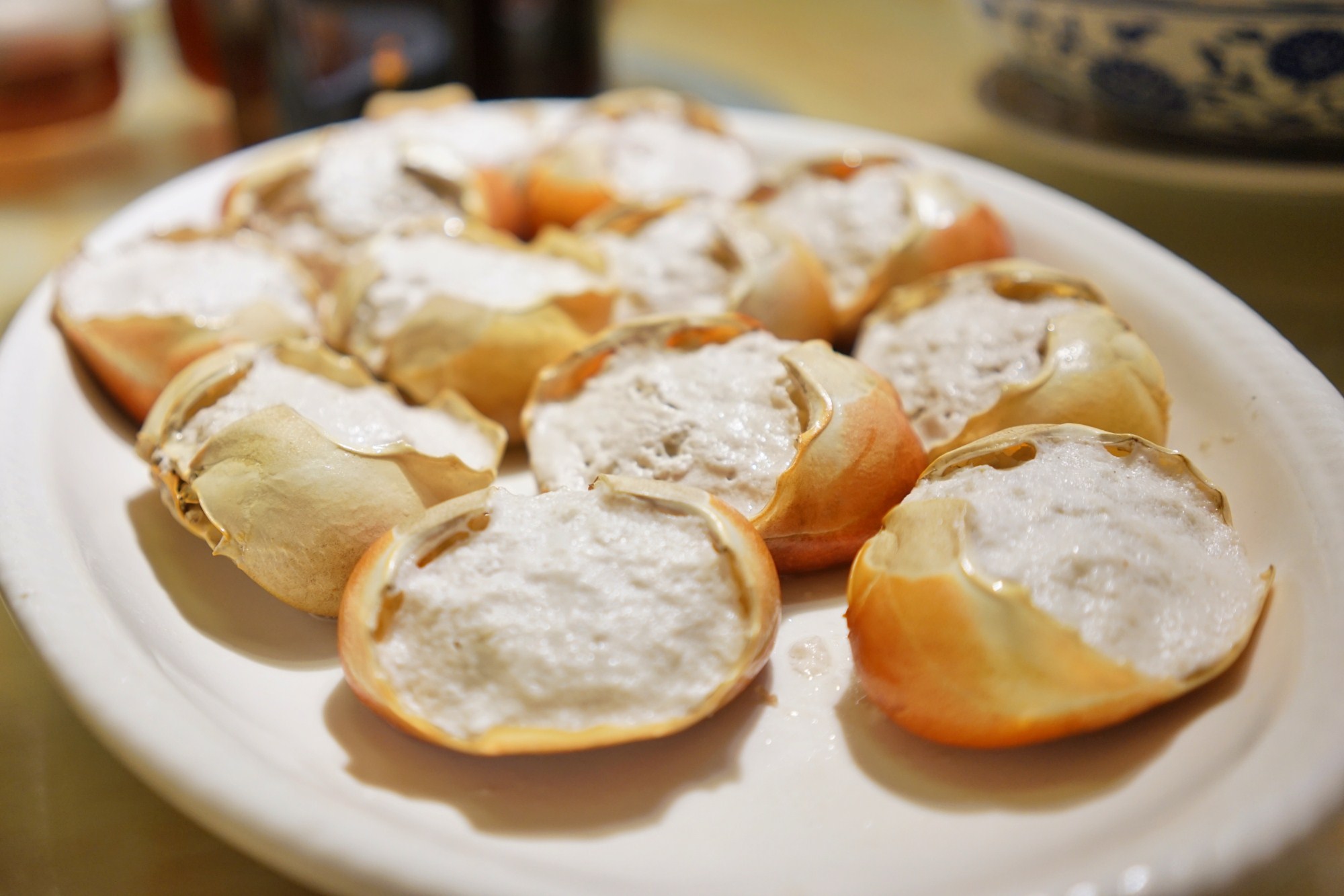 一定是特别的缘分——帕劳，再遇见「周若雪Patty」·上