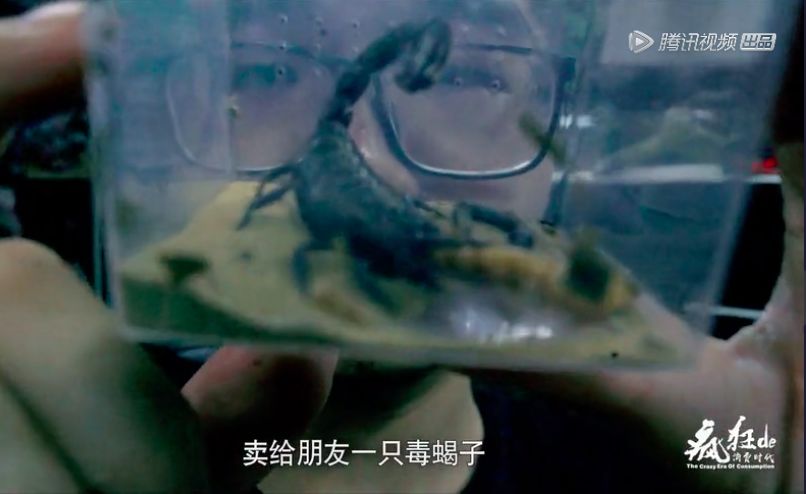 年轻人唯一的出路就是攒钱,把债还清后下一步就是攒钱