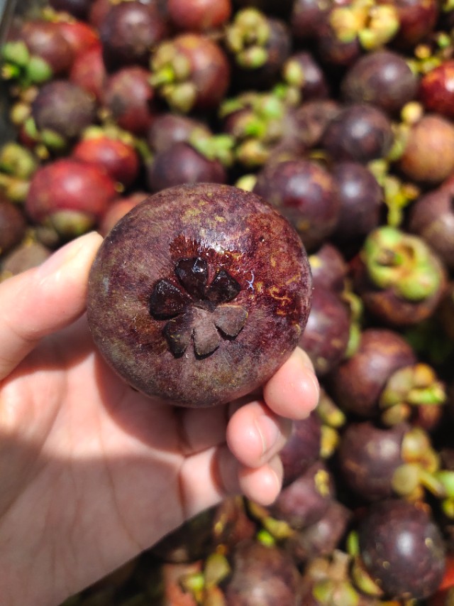 山竹挑选看三点,山竹怎么看才知道里面是好的