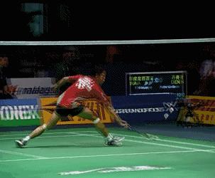 金秋诗画（学羽精华33.发力技巧）