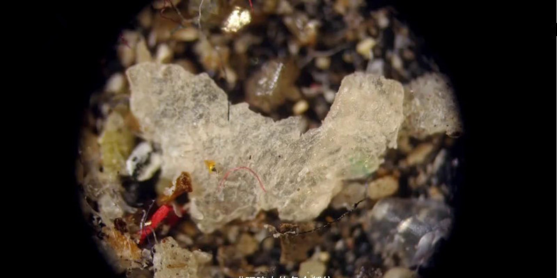 家里除螨虫最好的神器,螨虫清除神器是否能清除螨虫