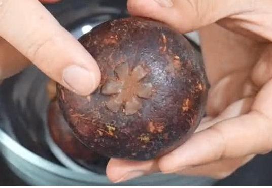 山竹哪里便宜又好,又高又大的山竹怎么样