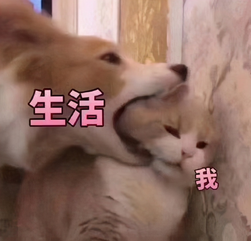 中国直播电商带货简史