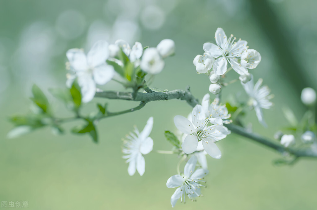 双子座的十大特质,双子座性格10大特征