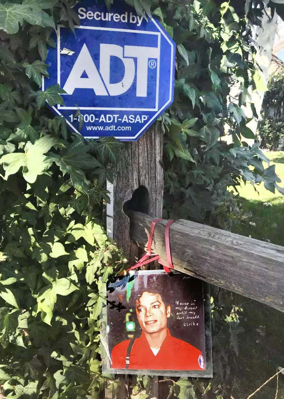 听迈克尔杰克逊的歌看乔丹打球,还会有人在听迈克尔杰克逊吗