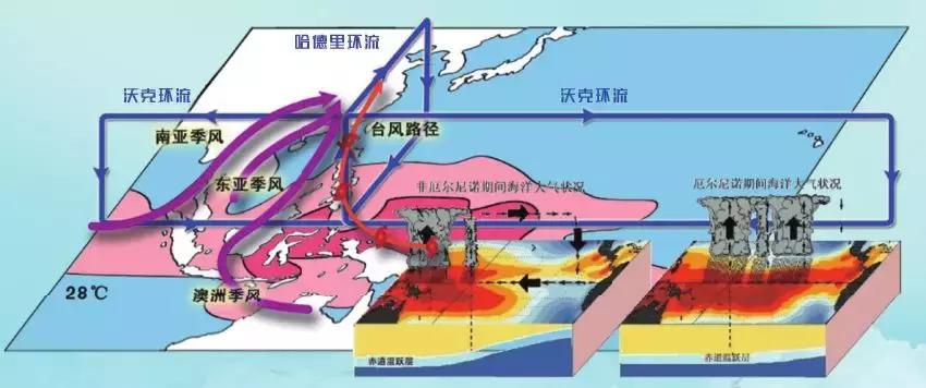 海与洋界线,海与洋是一样的