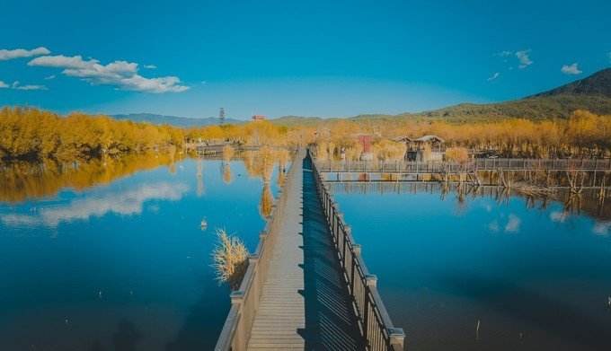 违反进出口货物管理的法律责任,国家禁止进出口物品罪属什么管辖