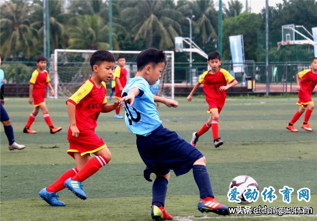 张路谈中国足球改年龄,张路对足球的看法