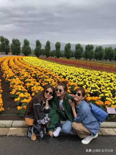 相机有哪些实用功能,相机的三大基本功能