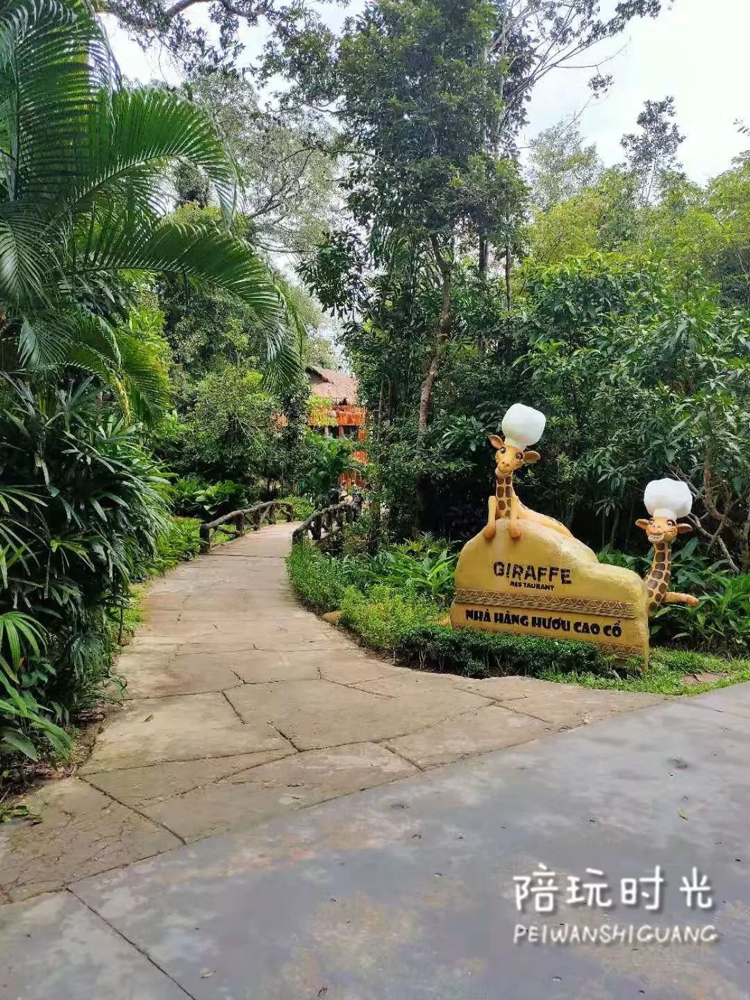 适合带娃旅游的海边酒店,哪个海岛酒店适合带娃