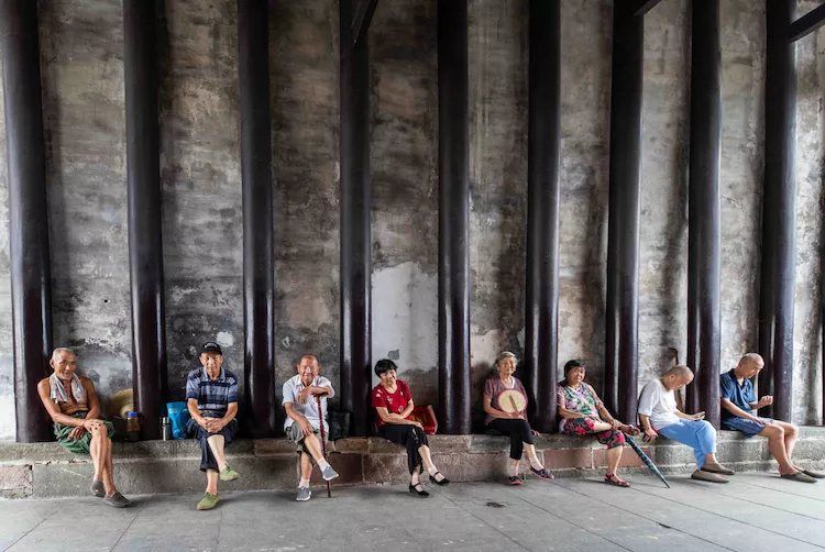 8月向日葵云海（徽州百工、黟县的朋友圈、瓷都景德镇）采风