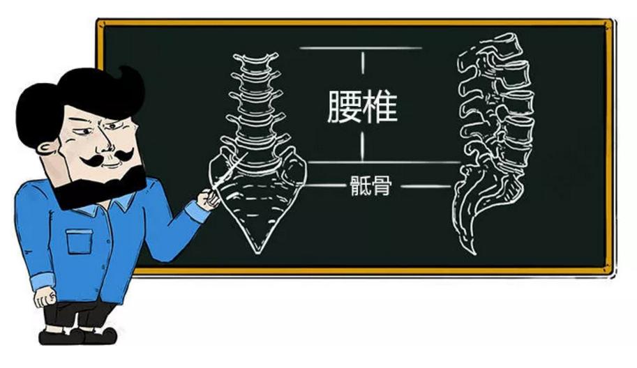 此文章让你彻底明白什么是：腰间盘突出