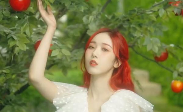 韩国女团颜值前十名成员,韩国女团成员那些惊为天人的颜值