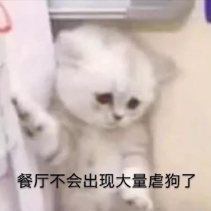 去年情人节有什么情况,以前情人节和今年情人节有啥区别