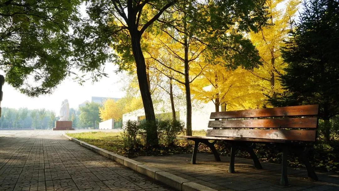 辽宁省普通高等院校,辽宁省沈阳本科大学