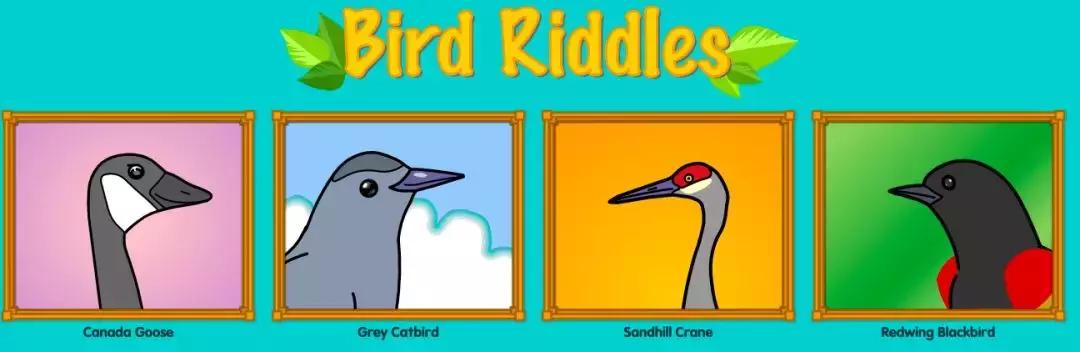 starfall是美国时代周刊选出的让互联网伟大的50个网站之一