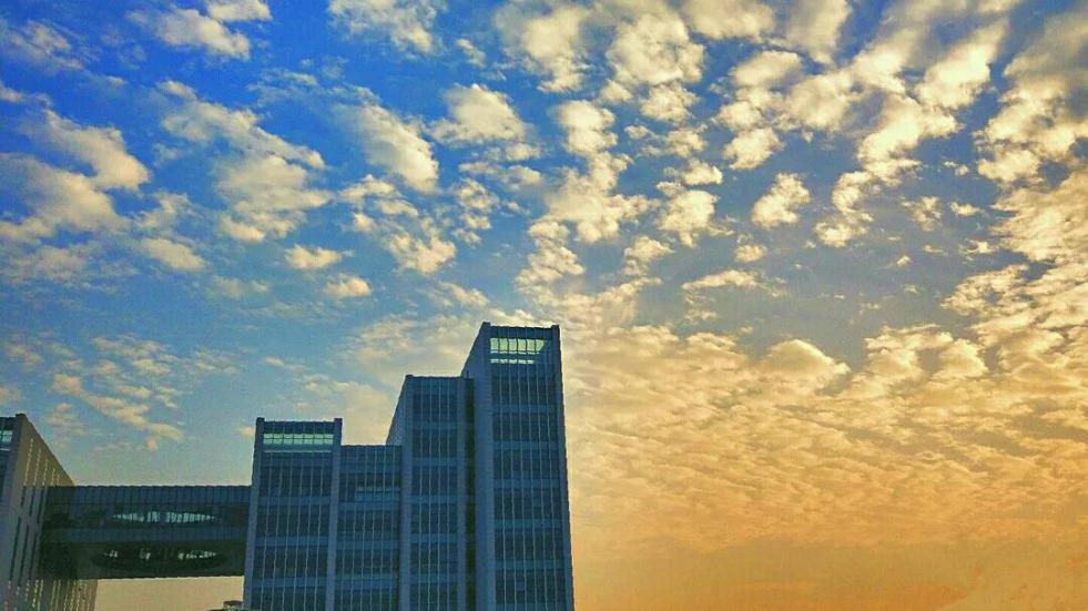 世界50强！近日，山东、澳大利亚2所名校，正式建立合作