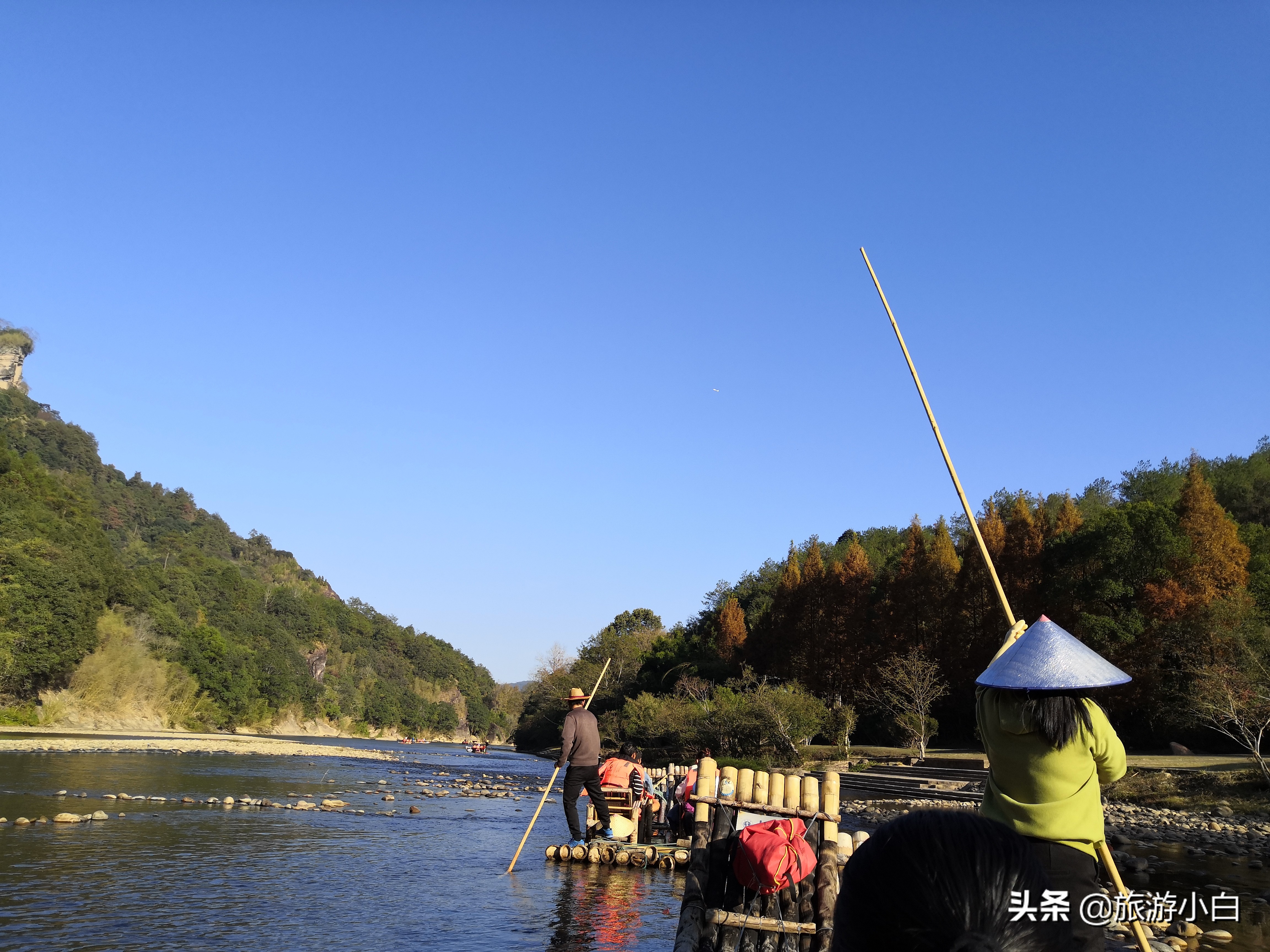大红袍好看又好喝,品尝大红袍的感受