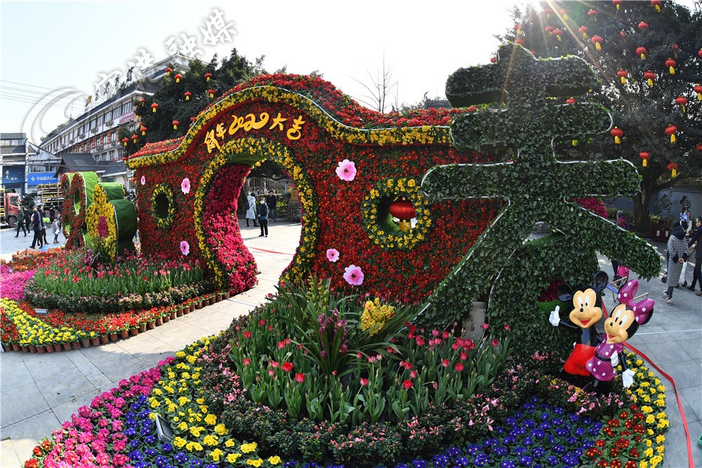 成都双流最新新闻,未来的双流会变成什么样子