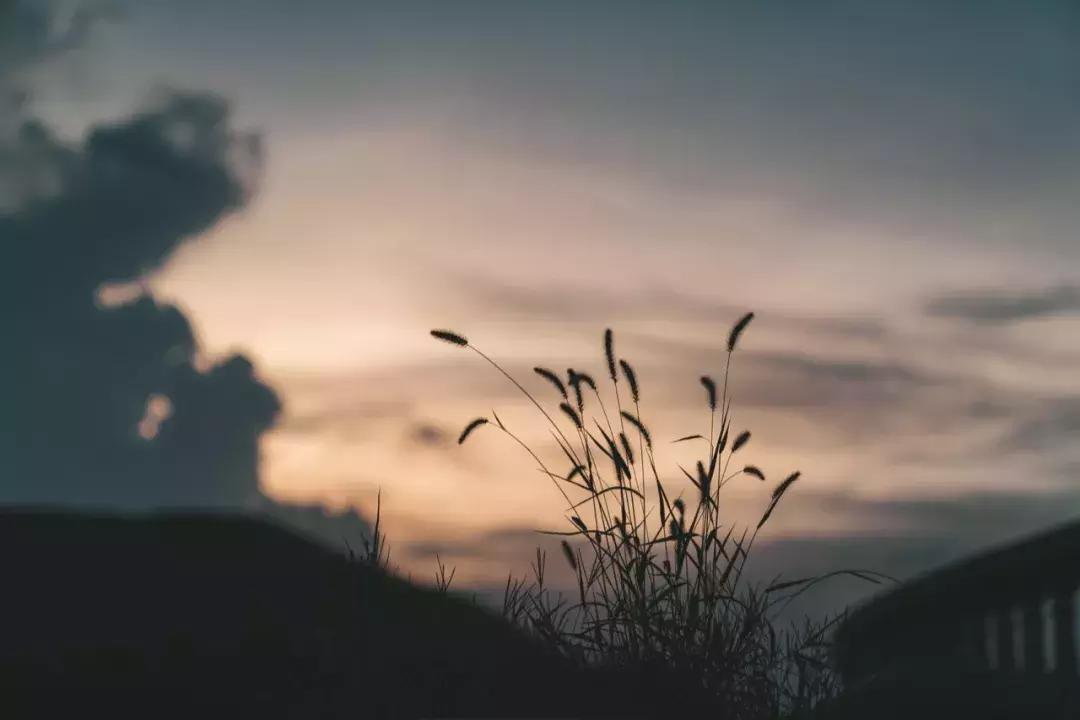 杭州余杭天都城,余杭区天都城