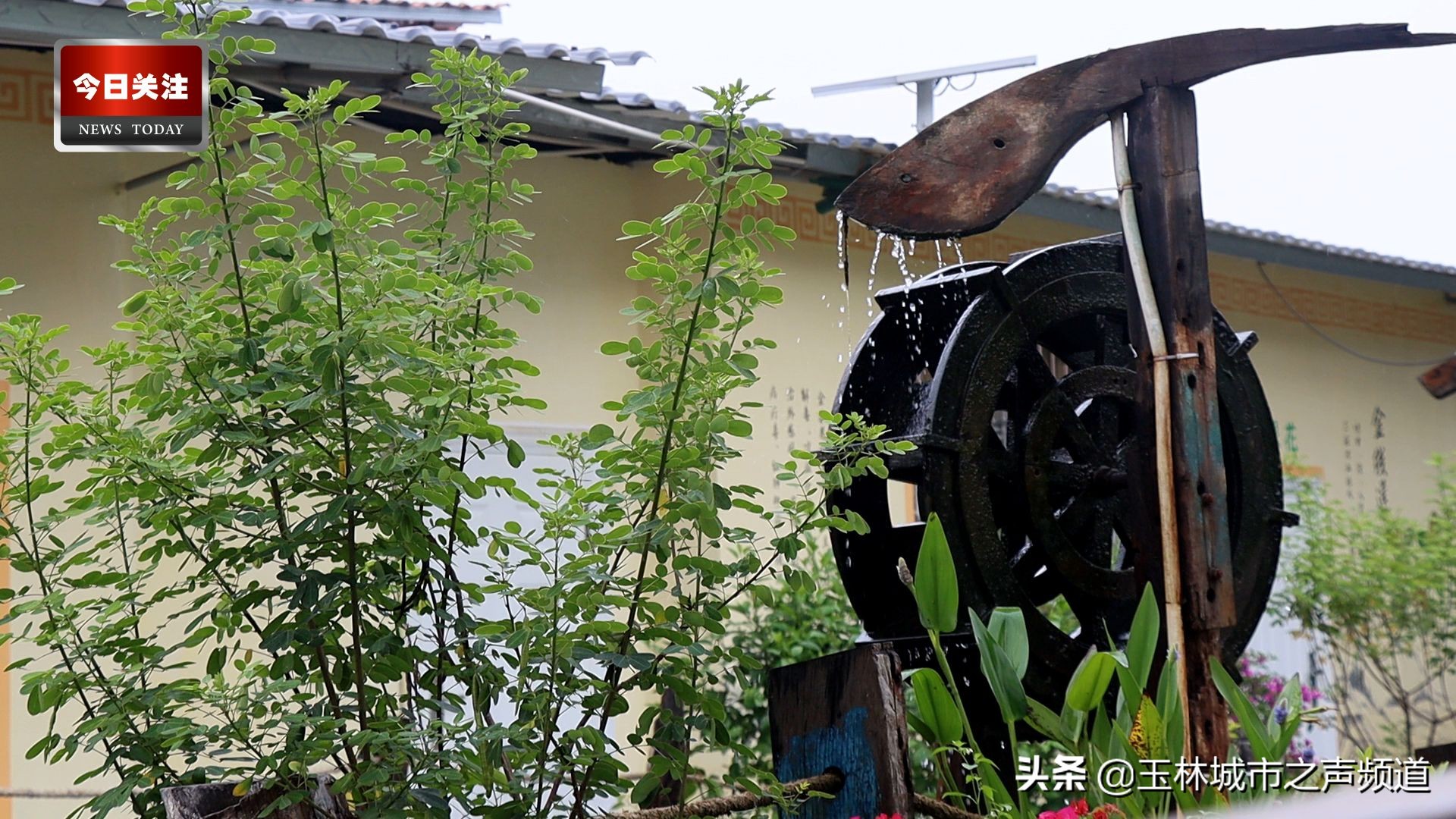 *今条头日**|小苏和潘潘带你逛金旺彩绘村系列（上集）