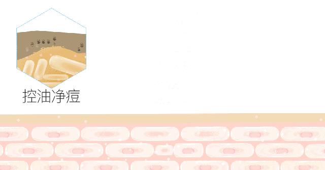 大s讲解玻尿酸,大s代言的玻尿酸