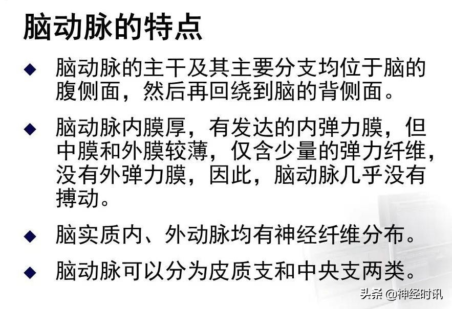 脑动脉解剖学讲解,基底节区脑血管解剖