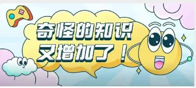 年度盘点2019年网络热词,盘点网络热词2014