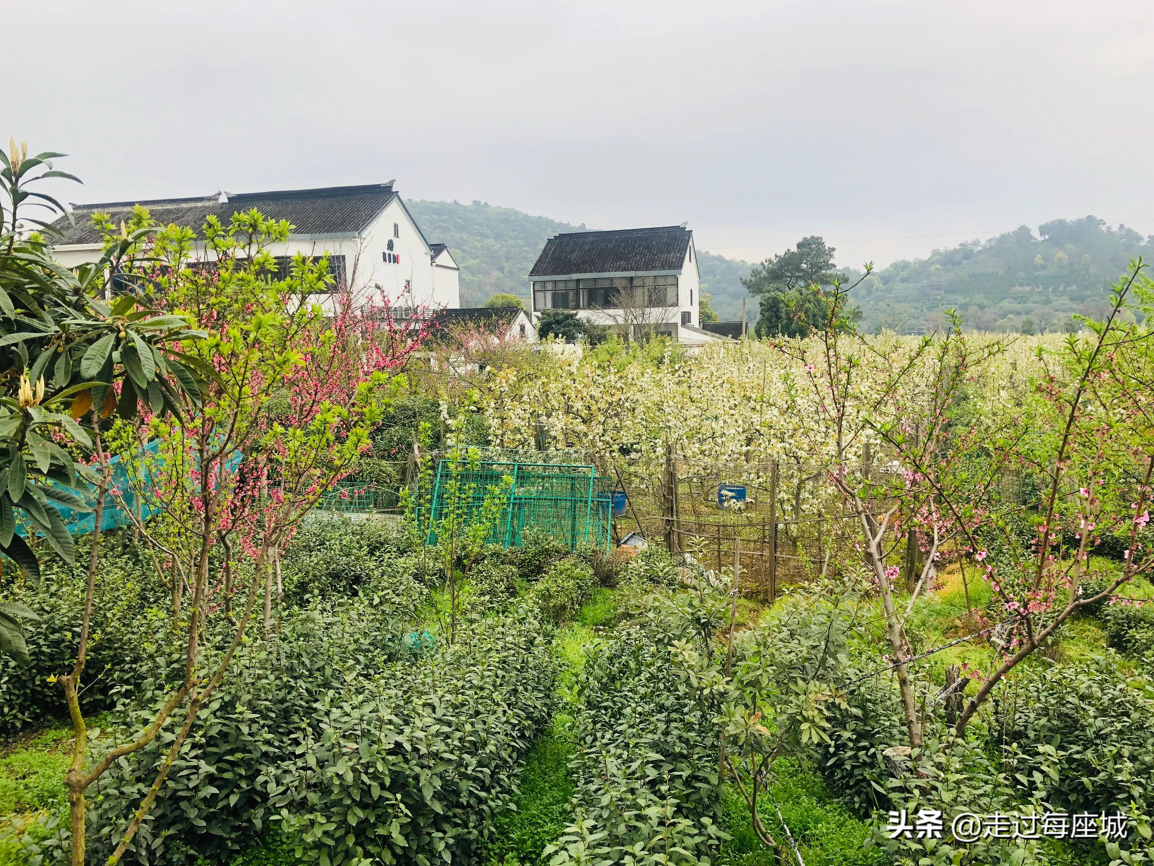 苏州小众却很棒的原生态的古镇,苏州必去的古村