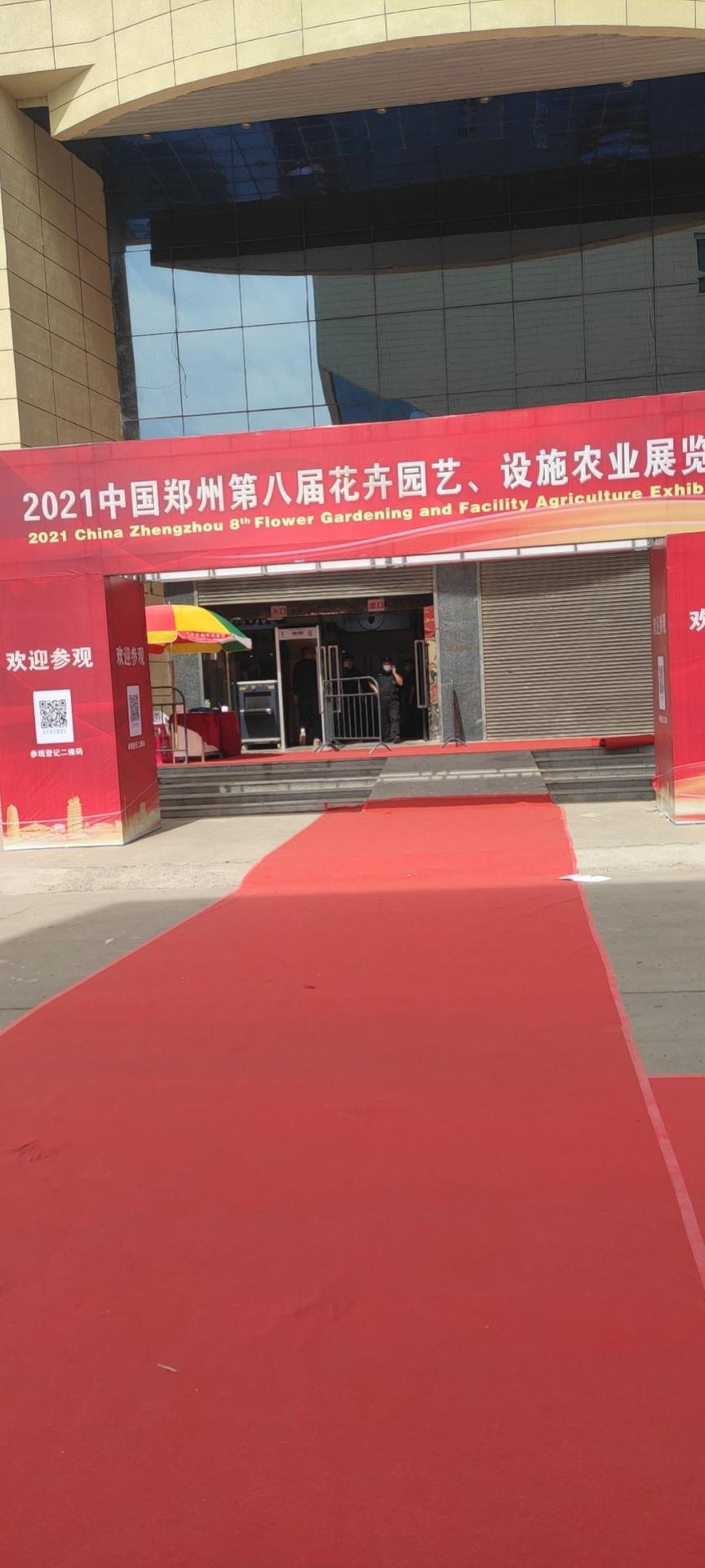 啥时候培育出了能结西瓜的树？我竟然差点就信了