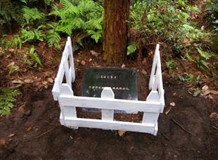 宠物老鼠死了怎么处理,宠物狗死了怎么处理