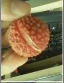 是吃货就得必备这个小技巧,吃货必看的100个小技巧