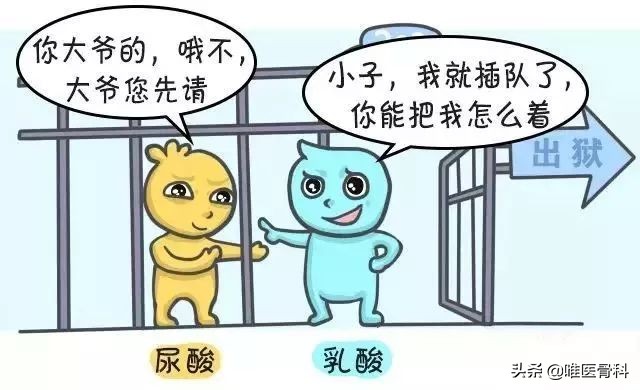 什么是痛风以及痛风的症状有哪些,痛风是由什么引起的怎样防痛风