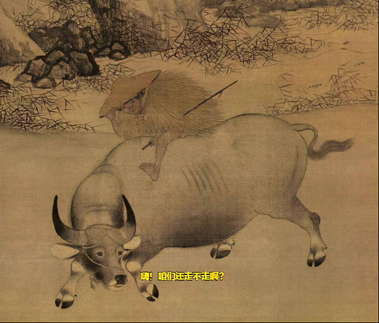 牛一共有四个胃哪个是真正的胃,牛有四个胃会什么的科普小知识