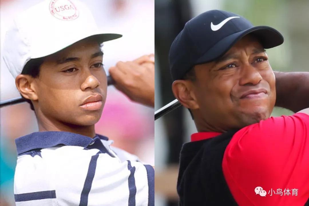 老虎伍兹11岁人生巅峰,老虎伍兹乔丹