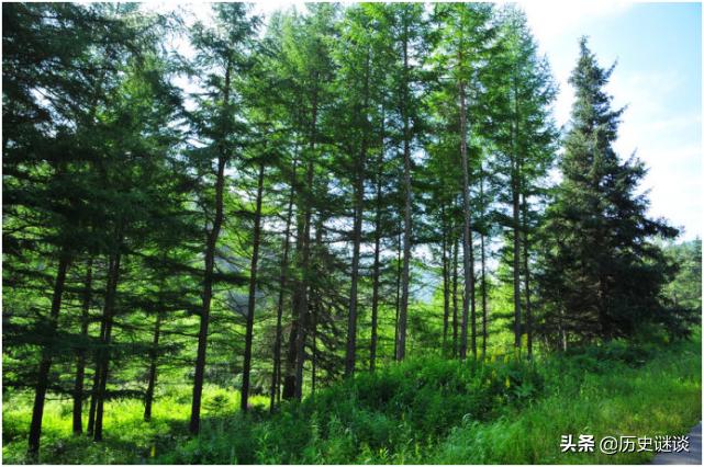 世界上最危险的工作打松塔,全世界最危险的工作合集