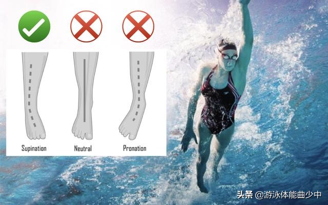 自由泳腿部内旋训练,如何提升自由泳打腿频率