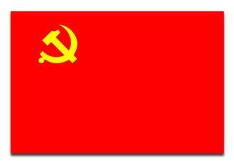 小学学校庆七一主题党日活动,七一主题党日活动学校