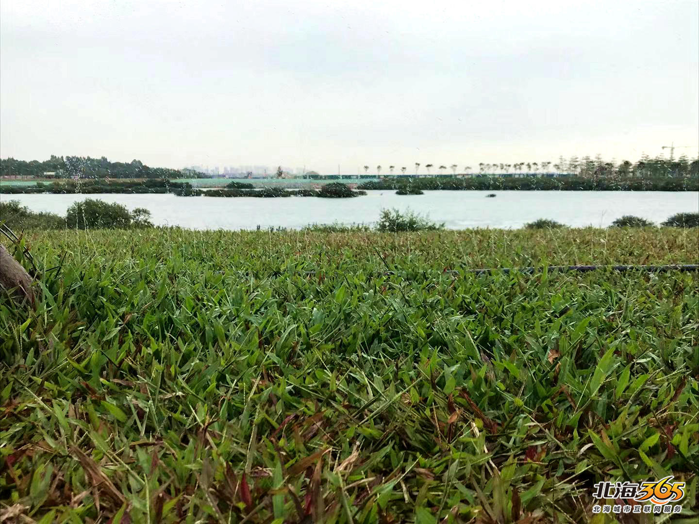 北海重大项目最新进展,北海未来十大工程