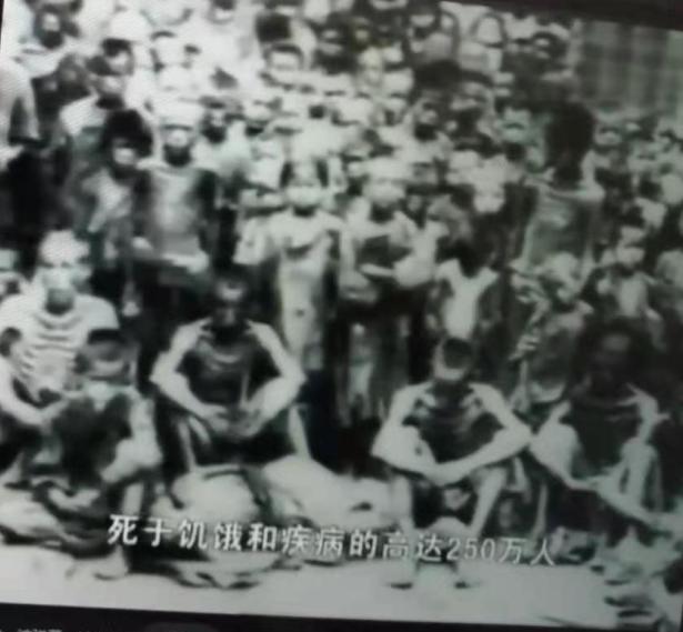 怀念我的母亲,怀念我的母亲全文