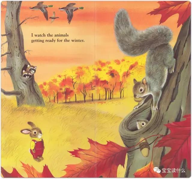 iamabunny作者,iamabunny歌曲