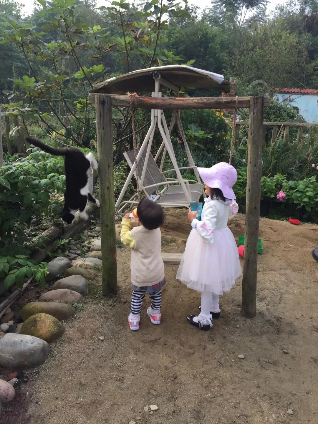 建一座完全不打药的生态花园，所有生命在这里和谐共处，值得收藏