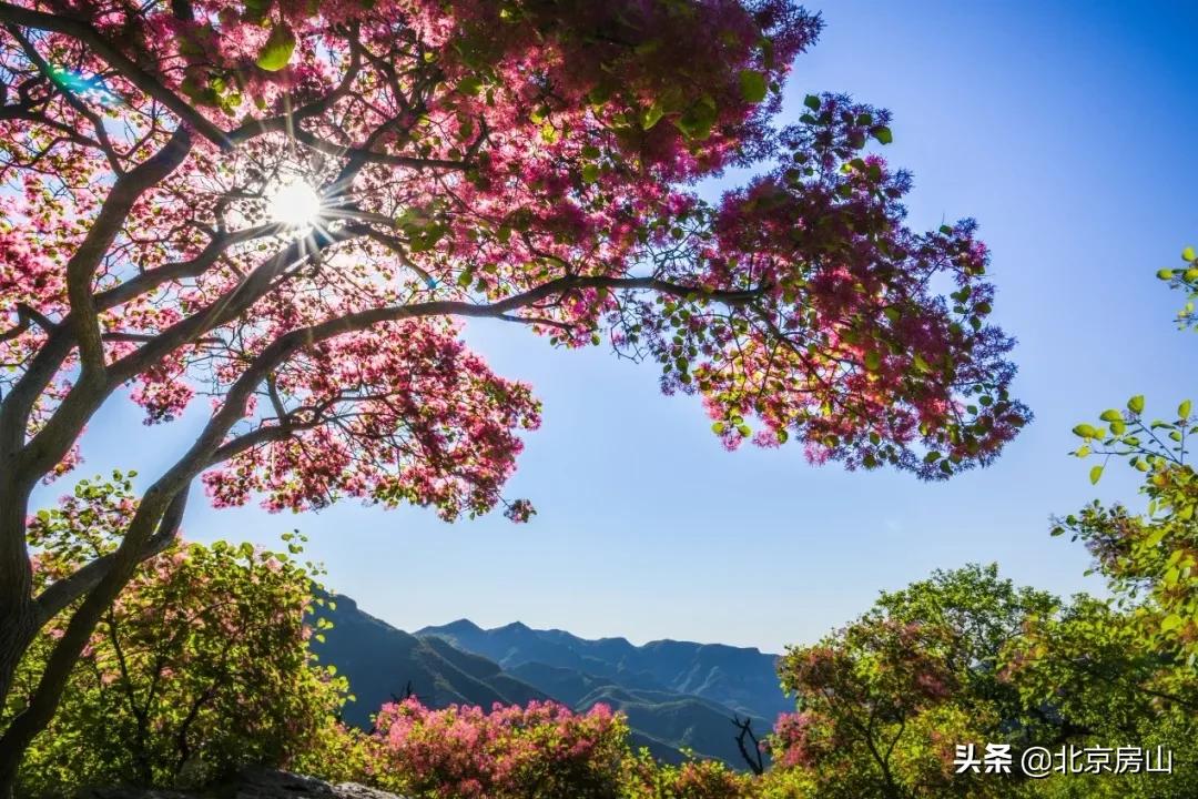 拥抱大自然享用仙境,五一房山旅游攻略推荐
