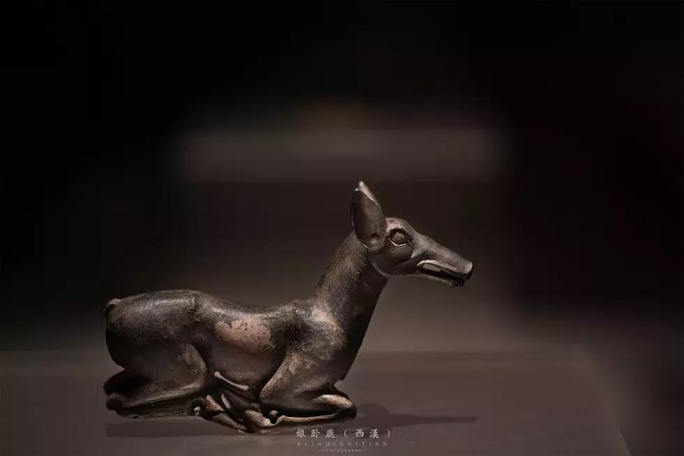 30张让人惊讶的历史震撼照片,展现中国陕西历史博物馆的微视频